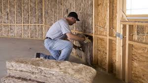 Best Insulation for New Construction  in Howey In The Hills, FL